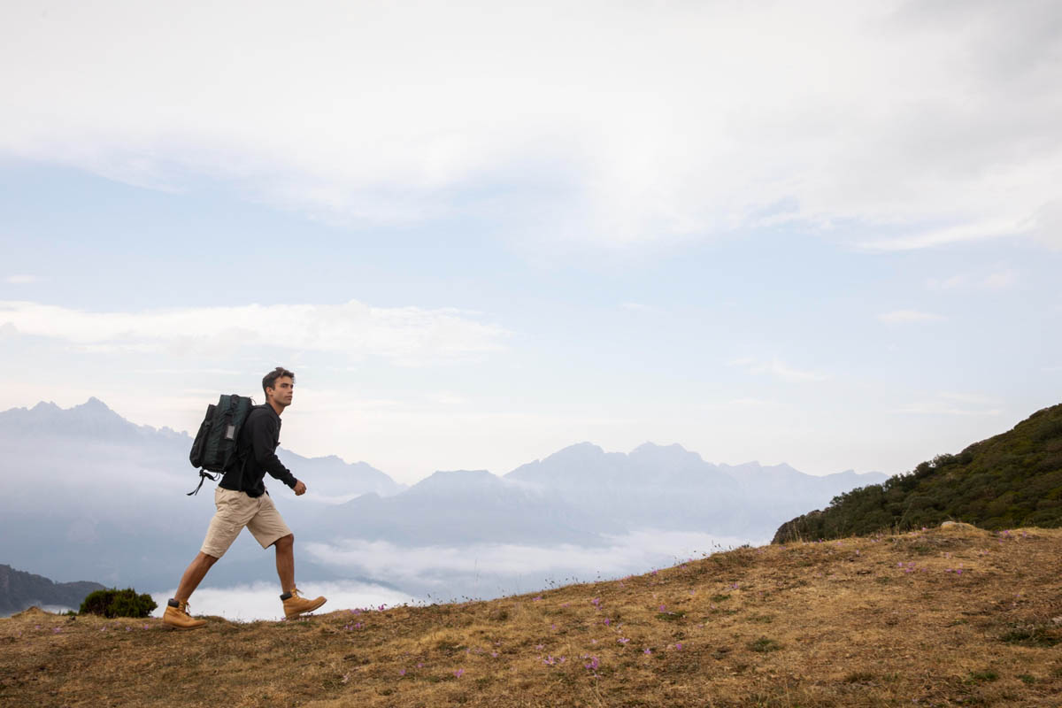 Recent trends in storytelling